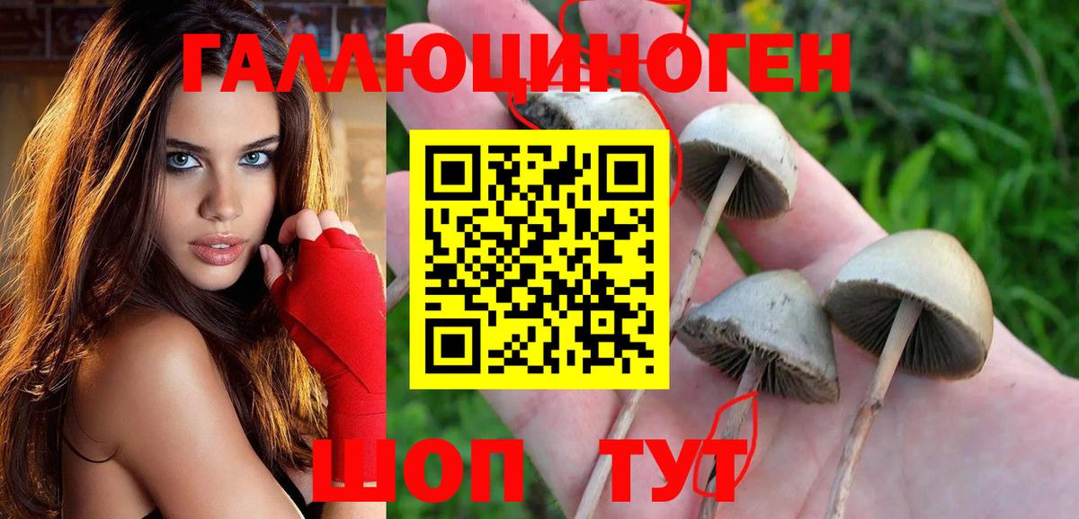 Отрадный  Псилоцибиновые грибы прущие грибы  Галлюциногенные грибы Cubensis  Вход с VPN 